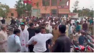 پھلوں اور پھولوں کا منفرد شہر پتوکی  ایشیا کی سب سے بڑی نرسری مارکیٹ