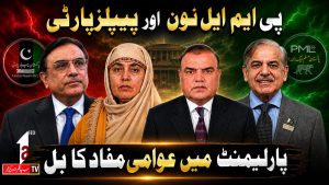 پاکستان مسلم لیگ (ن) اور پیپلز پارٹی | پارلیمنٹ میں عوامی مفاد کا بل | وائس آف پاکستان | اے ون ٹی وی | 25 جولائی 2026